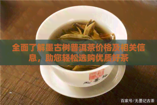 全面了解墨古树普洱茶价格及相关信息，助您轻松选购优质好茶