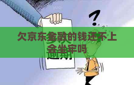 欠京东金融的钱还不上会坐牢吗