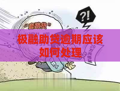 极融助贷逾期应该如何处理