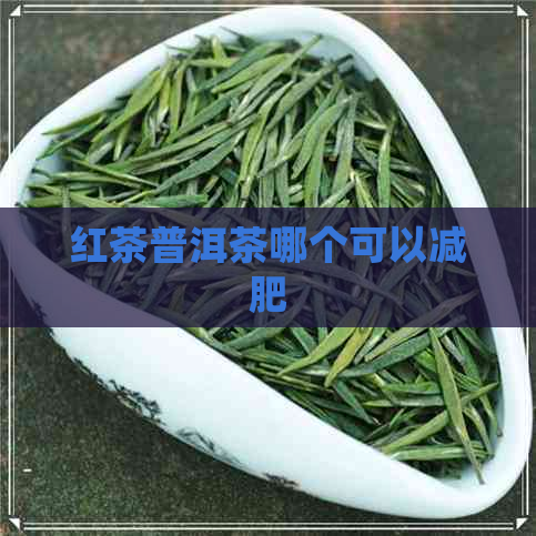 红茶普洱茶哪个可以减肥