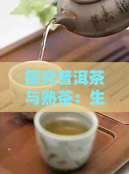 探究普洱茶与熟茶：生茶、熟茶价格对比，哪个更贵？