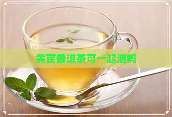 黄芪普洱茶可一起泡吗