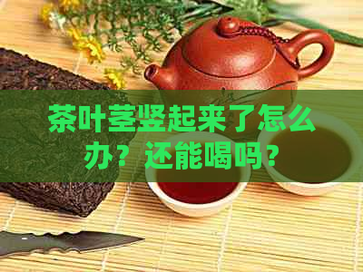 茶叶茎竖起来了怎么办？还能喝吗？