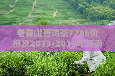 老曼峨普洱茶7266价格及2013-2019年云南口感特点分析