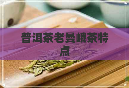 普洱茶老曼峨茶特点