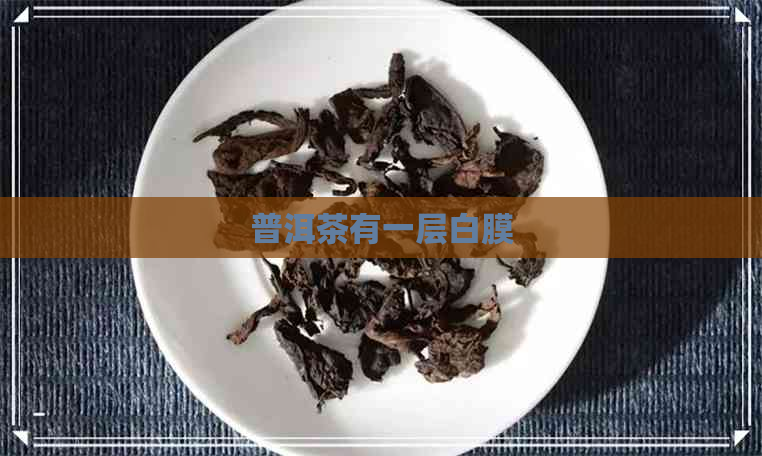 普洱茶有一层白膜