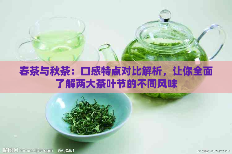 春茶与秋茶：口感特点对比解析，让你全面了解两大茶叶节的不同风味