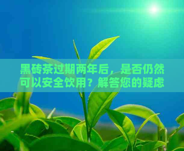 黑砖茶过期两年后，是否仍然可以安全饮用？解答您的疑虑和注意事项