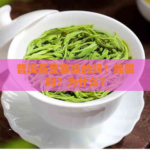 普洱茶是寒凉的吗？能喝吗？为什么？