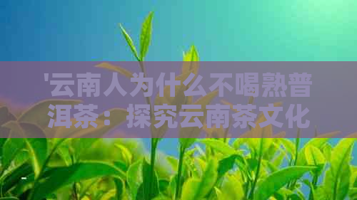 '云南人为什么不喝熟普洱茶：探究云南茶文化'