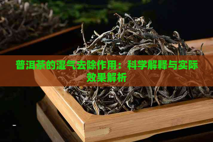 普洱茶的湿气去除作用：科学解释与实际效果解析