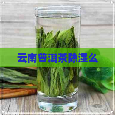 云南普洱茶除湿么