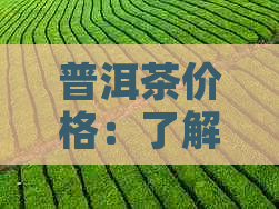 普洱茶价格：了解熟普洱茶的市场行情、品质与购买建议