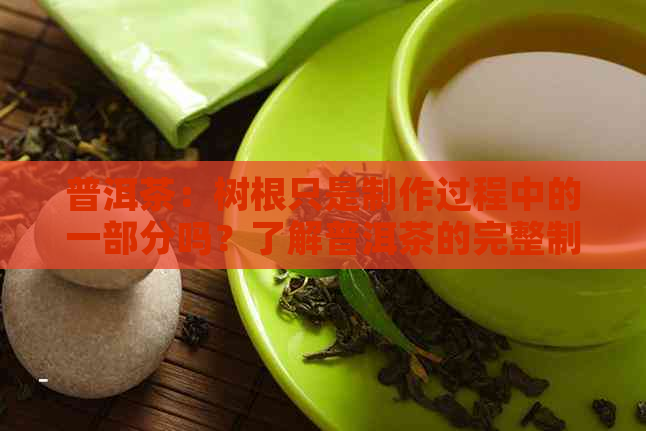 普洱茶：树根只是制作过程中的一部分吗？了解普洱茶的完整制作过程与成分