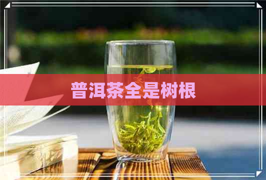 普洱茶全是树根