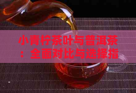 小青柠茶叶与普洱茶：全面对比与选择指南