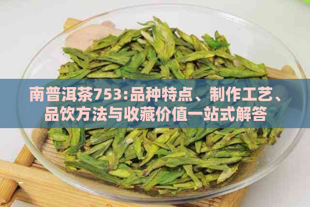 南普洱茶753:品种特点、制作工艺、品饮方法与收藏价值一站式解答