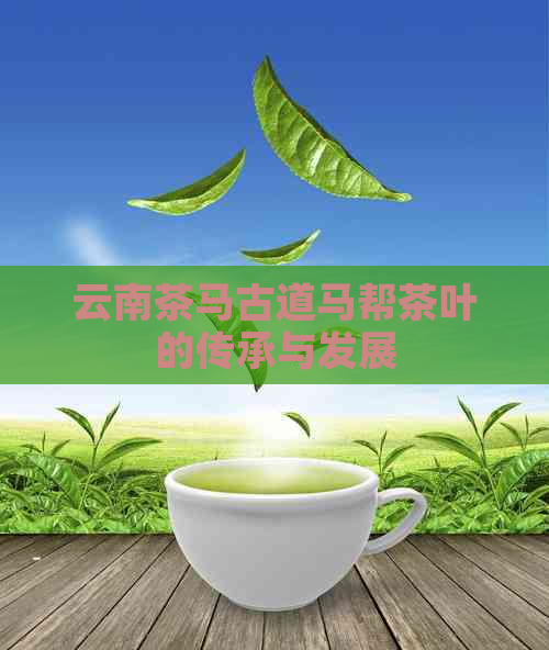 云南茶马古道马帮茶叶的传承与发展