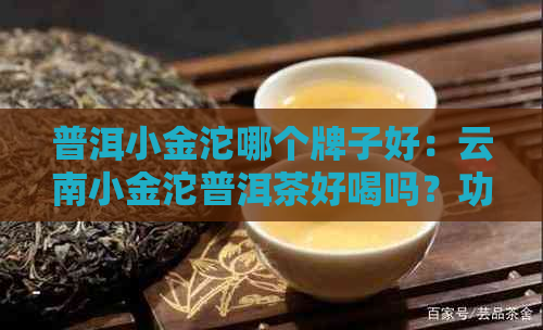 普洱小金沱哪个牌子好：云南小金沱普洱茶好喝吗？功效与作用是什么？