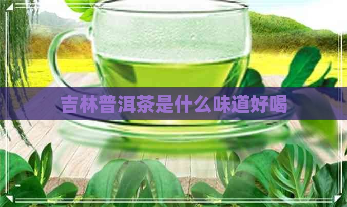 吉林普洱茶是什么味道好喝