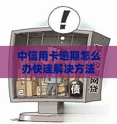 中信用卡逾期怎么办快速解决方法