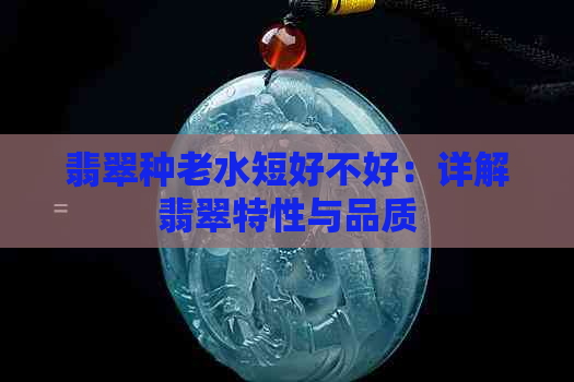 翡翠种老水短好不好：详解翡翠特性与品质