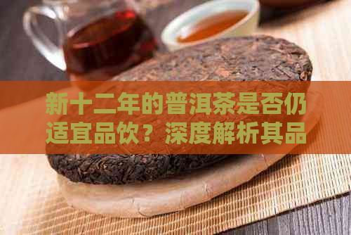 新十二年的普洱茶是否仍适宜品饮？深度解析其品质与口感变化