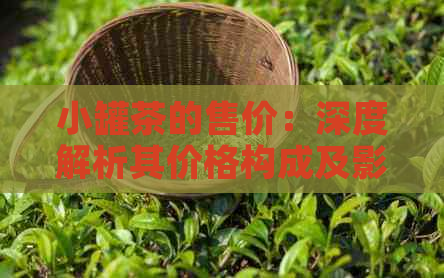 小罐茶的售价：深度解析其价格构成及影响因素