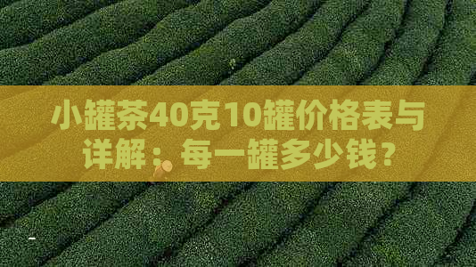 小罐茶40克10罐价格表与详解：每一罐多少钱？