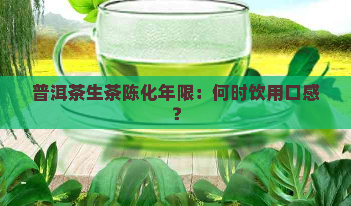 普洱茶生茶陈化年限：何时饮用口感？