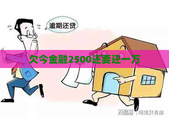 欠今金融2500还要还一万