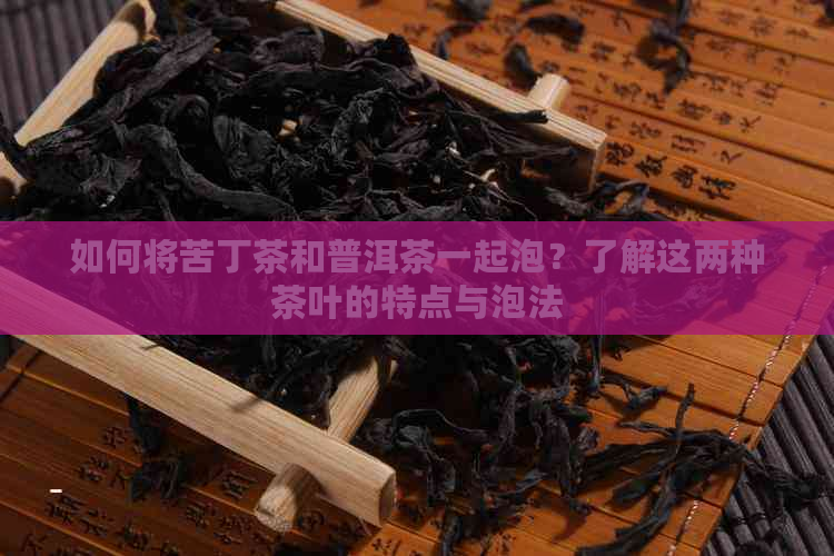 如何将苦丁茶和普洱茶一起泡？了解这两种茶叶的特点与泡法