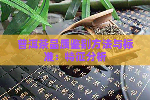 普洱茶品质鉴别方法与标准：特征分析