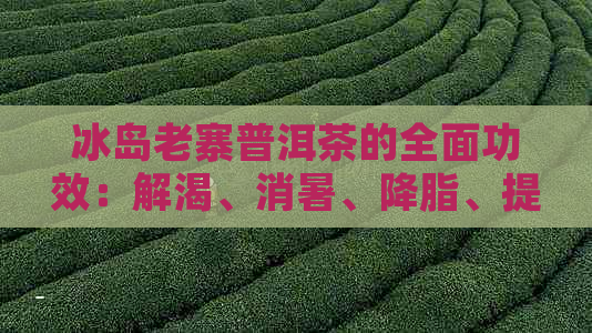 冰岛老寨普洱茶的全面功效：解渴、消暑、降脂、提神等六大作用解析