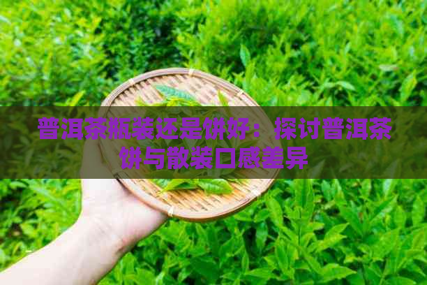 普洱茶瓶装还是饼好：探讨普洱茶饼与散装口感差异