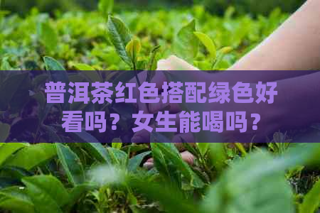 普洱茶红色搭配绿色好看吗？女生能喝吗？