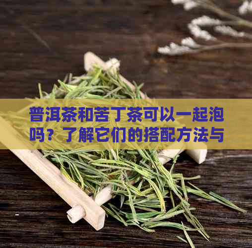 普洱茶和苦丁茶可以一起泡吗？了解它们的搭配方法与注意事项