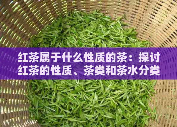 红茶属于什么性质的茶：探讨红茶的性质、茶类和茶水分类，以及红茶的类型