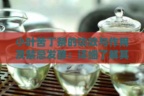 小叶苦丁茶的功效与作用及禁忌发酵：详细了解其药理价值和注意事项