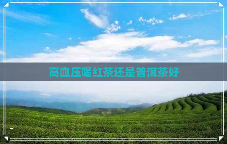 高血压喝红茶还是普洱茶好