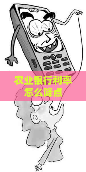 农业银行利率怎么降点