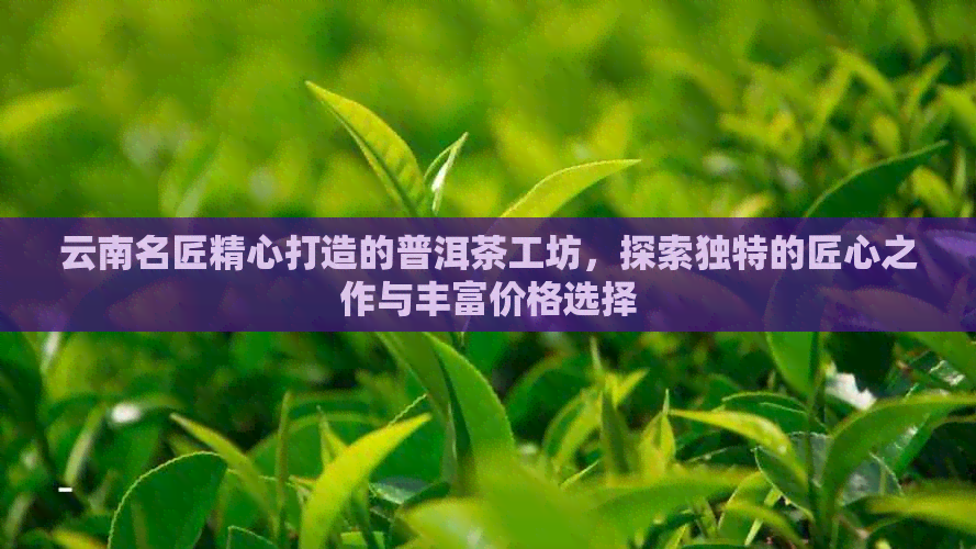 云南名匠精心打造的普洱茶工坊，探索独特的匠心之作与丰富价格选择