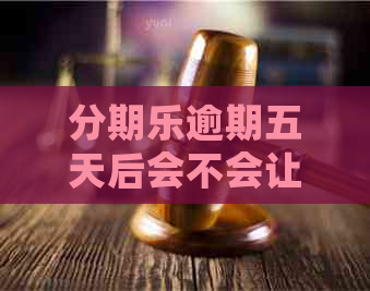 逾期五天后会不会让还完全部才能再借：影响、取出时间与借款资格解答