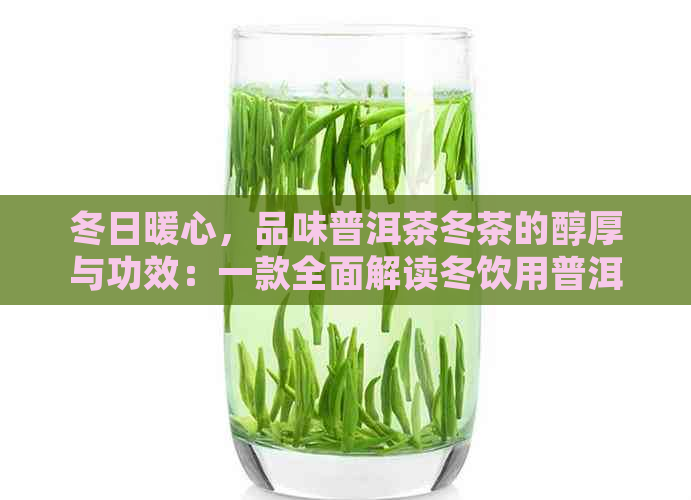 冬日暖心，品味普洱茶冬茶的醇厚与功效：一款全面解读冬饮用普洱茶的文章