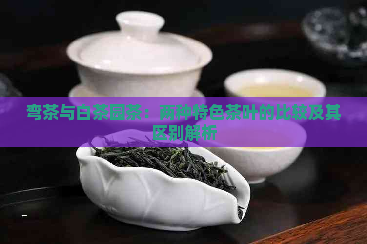 弯茶与白茶园茶：两种特色茶叶的比较及其区别解析