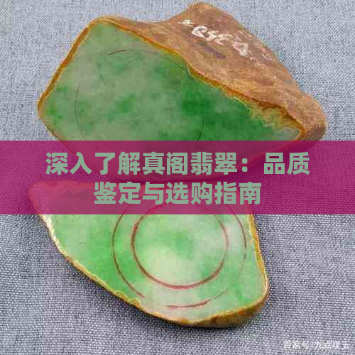 深入了解真阁翡翠：品质鉴定与选购指南