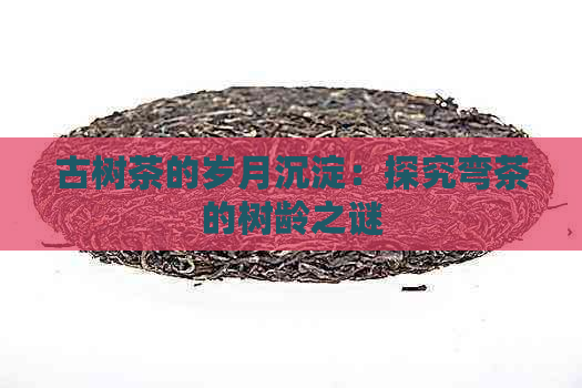 古树茶的岁月沉淀：探究弯茶的树龄之谜