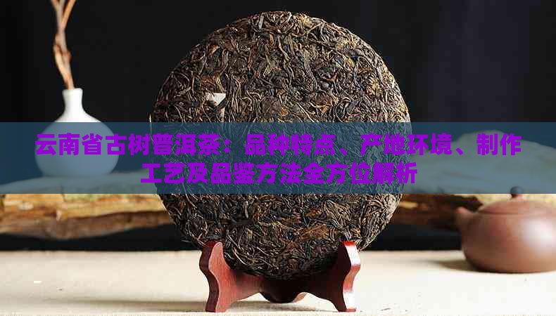 云南省古树普洱茶：品种特点、产地环境、制作工艺及品鉴方法全方位解析