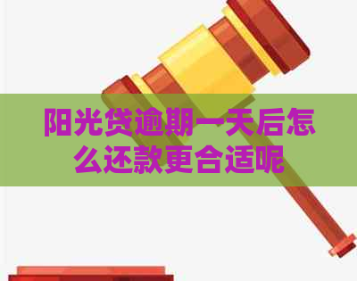 阳光贷逾期一天后怎么还款更合适呢