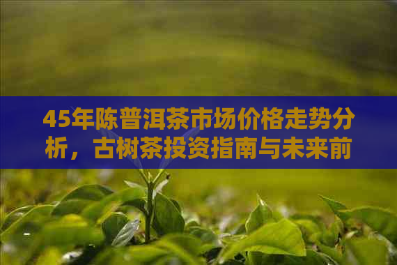 45年陈普洱茶市场价格走势分析，古树茶投资指南与未来前景预测